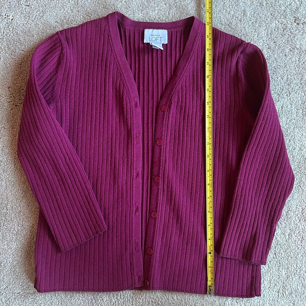 Ann Taylor Loft Cardigan
